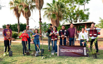 Cinthia Teniente impulsa la plantación de más de 4,800 árboles en Villagrán