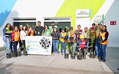 Cinthia Teniente impulsa reforestación con 80 nuevos árboles en Villagrán